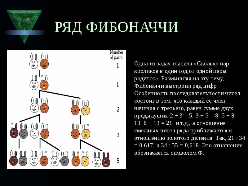 Презентация на тему числа фибоначчи