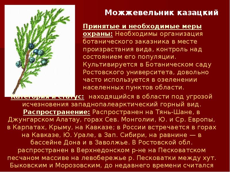 Растение из красной книги ростовской области фото и описание