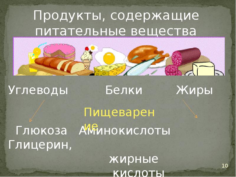 В какой части находятся питательные вещества. Пищевые продукты питательные вещества и их превращения в организме. Презентация пища и питательные вещества. Питательные вещества и их превращение в организме. Питательные вещества в продуктах питания презентация.