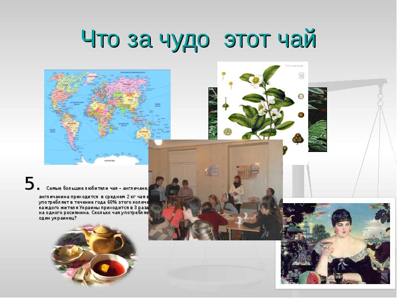 Что за чудо этот чай