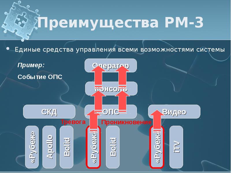 Рм в проекте это