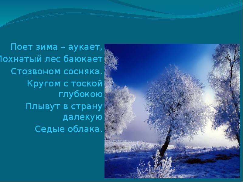 Стихотворение есенина поет зима аукает. Сергей Есенин мохнатый лес баюкает Стозвоном. Сергей Есенин мохнатый лес. Есенин мохнатый лес баюкает Стозвоном сосняка. Есенин лес аукает.