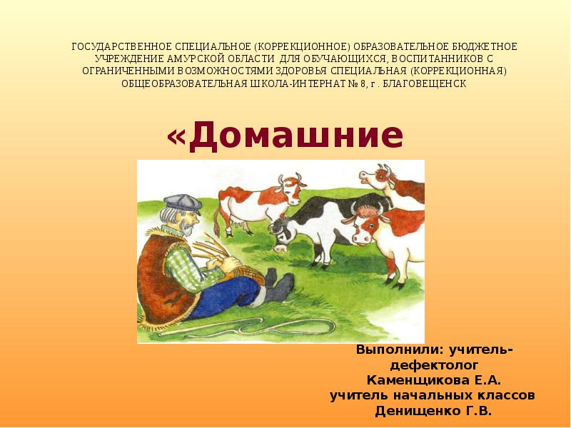 Только для животных характерен процесс. Домашние животные коррекционное. Коррекционная педагогика презентация домашние животные. Презентация домашние животные. 6 Класс коррекционной школы.