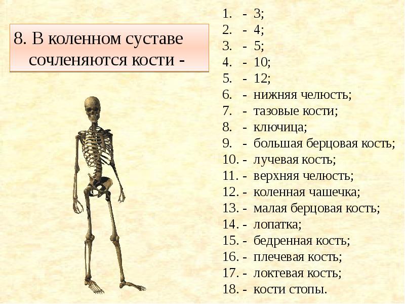 Скелет презентации проекта