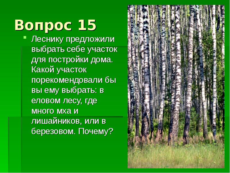егерь лесник. лесник профессия. вопросы лесничему. интересные вопросы про лес. егерь охотовед.