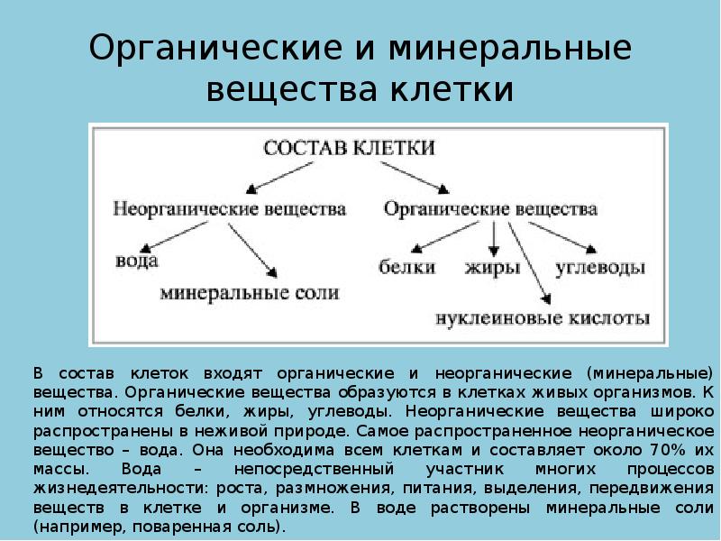 Органические и неорганические соединения клетки. Органические и неорганические соединения клетки. Органические вещества и неорганические вещества биология. Химический состав клетки органические и неорганические вещества. Основные вещества клетки которые.