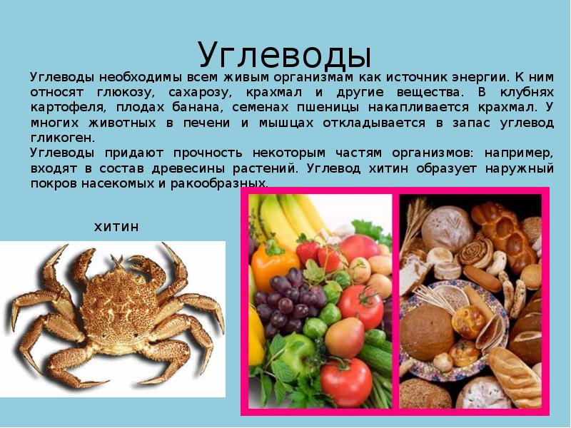 Презентация про углеводы по химии. Содержат углевод хитин. Содержат углевод хитин. Полисахариды крахмал гликоген целлюлоза хитин муреин. Углеводы химия структура.