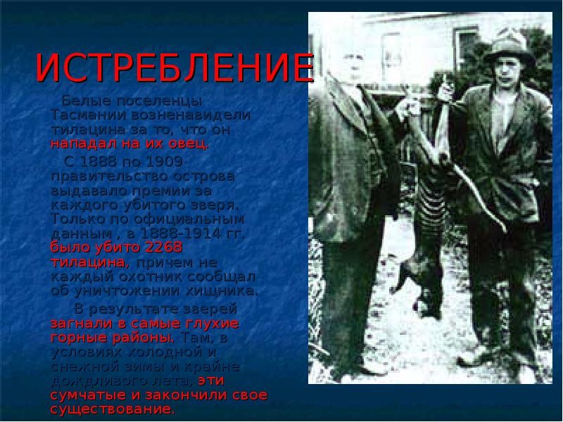 Геноцид французов на гаити. Лагерь военнопленных красной армии великой отечественной войны 1941-1945. Истребление белых. Черчилль на охоте. Геноцид белой расы расы.