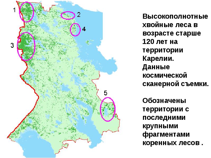 Оопт карелия карта