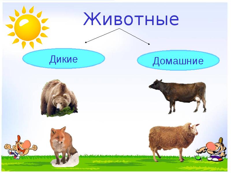 Презентация дикие и домашние животные средняя группа