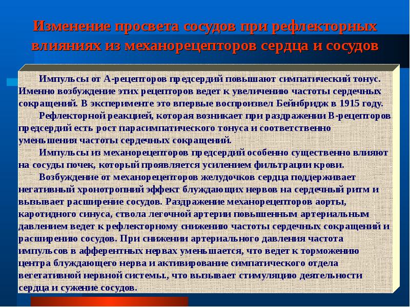 Частота сокращений сердца снижается под влиянием чего. Блуждающий нерв частота сердечных сокращений. Влияние блуждающих и симпатических нервов на работу сердца. Блуждающий нерв брадикардия. Раздражение блуждающего нерва.