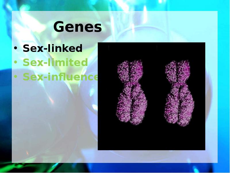 Genes Sex-linked Sex-limited Sex-influenced
