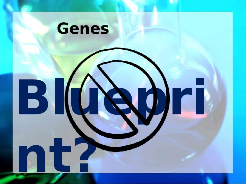 Blueprint?