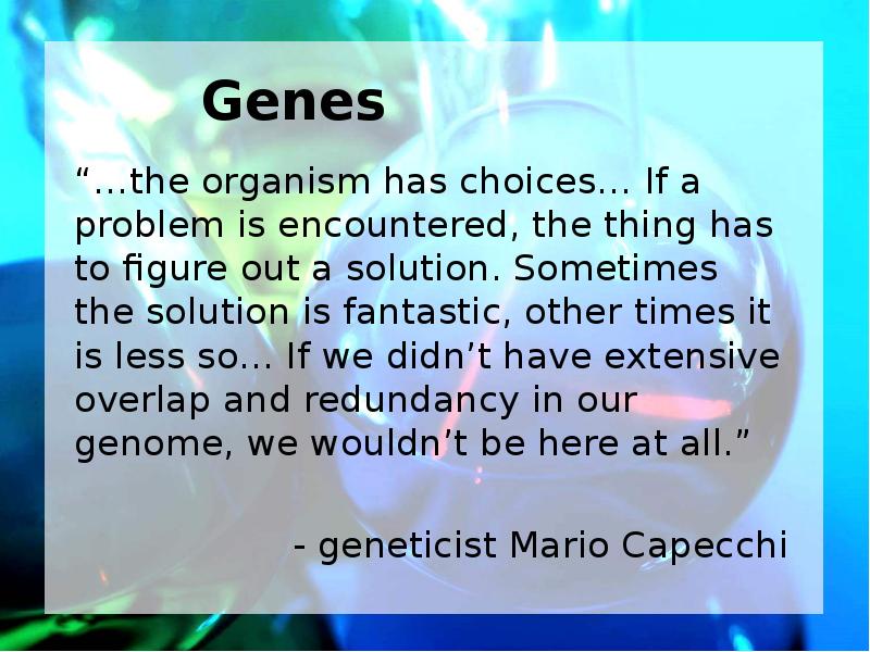 “…the organism has choices… If a problem is encountered, the thing