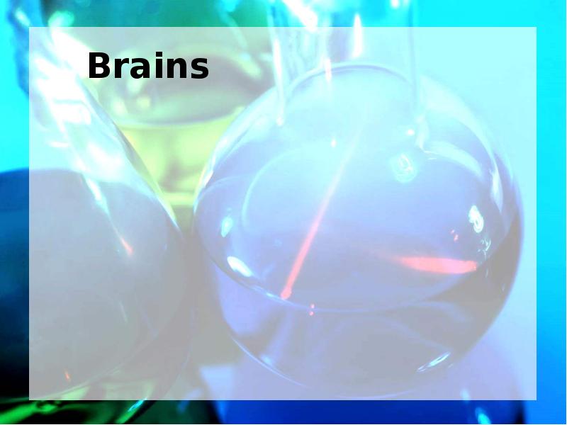 Brains