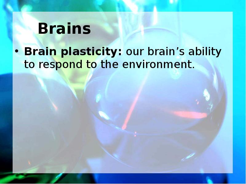 Brains Brain plasticity: our brain’s ability to respond to the environment.