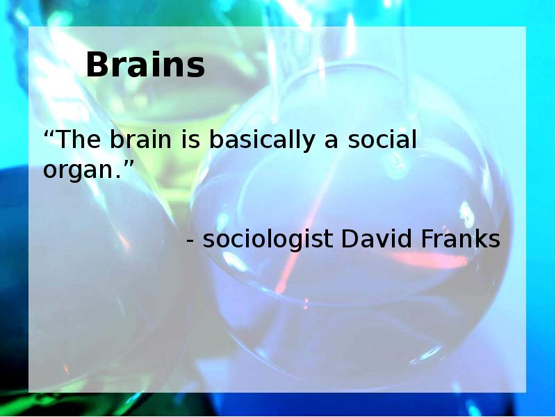 Brains “The brain is basically a social organ.” - sociologist David