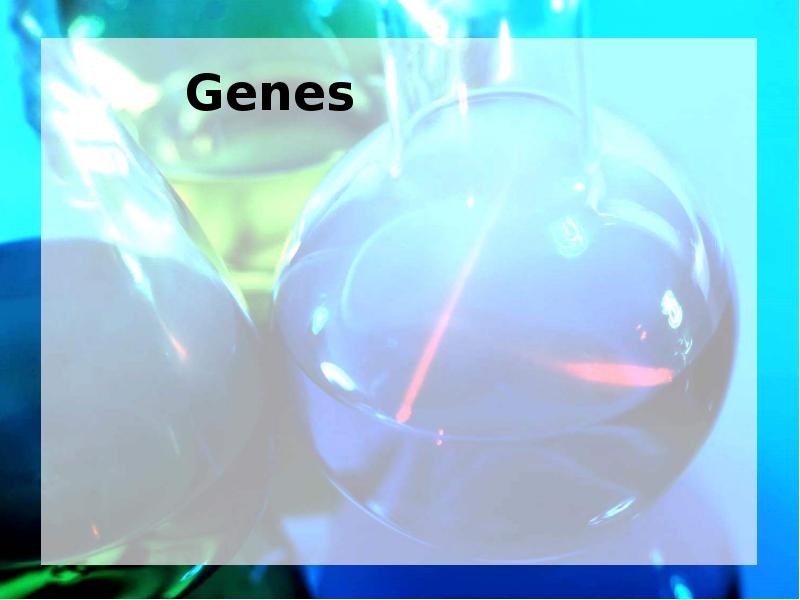Genes