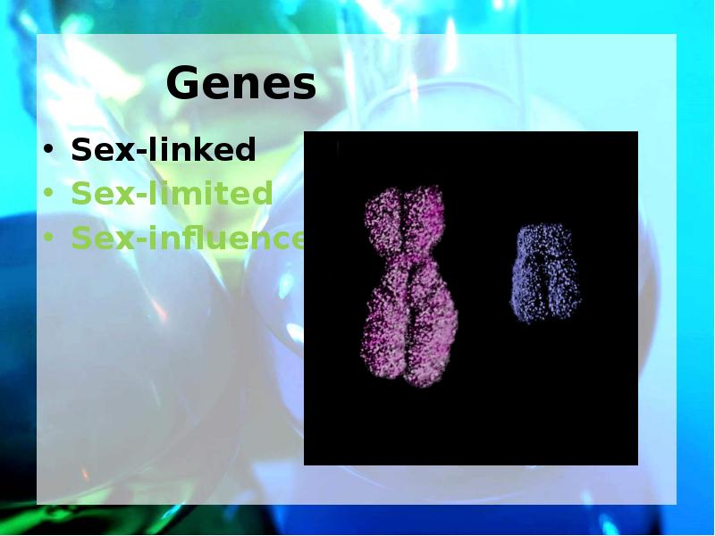 Genes Sex-linked Sex-limited Sex-influenced
