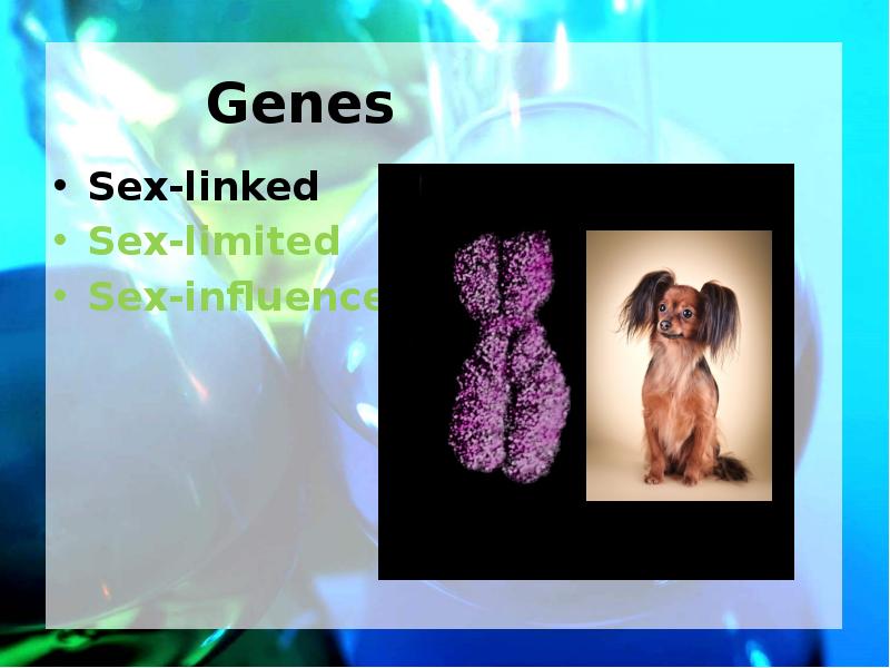 Genes Sex-linked Sex-limited Sex-influenced