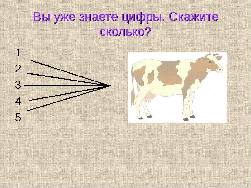 Сколько скажи 3. 2,5 Это сколько в лошадях. Цифры знаешь наберешь кабан. Скажи сколько.