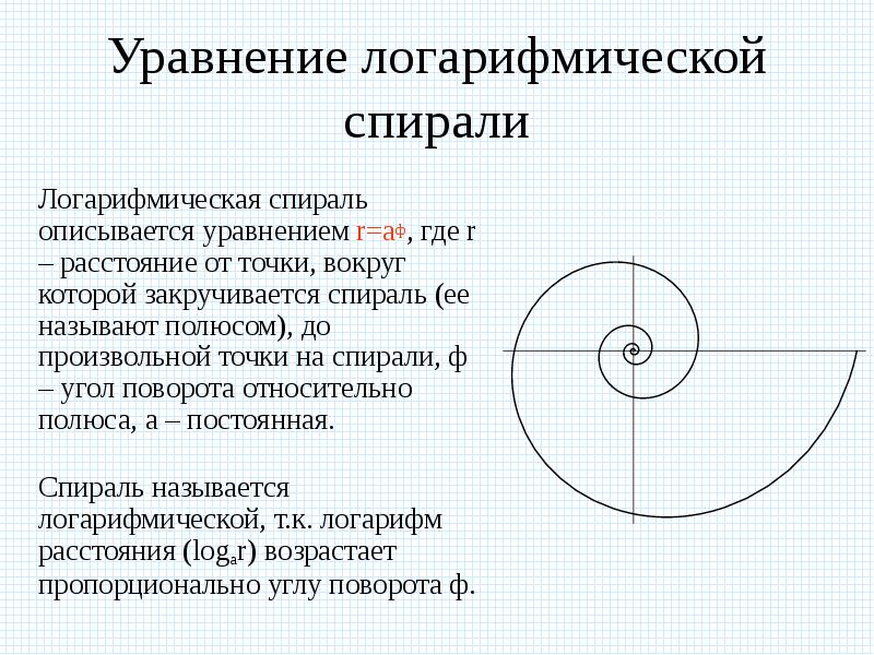 Логарифмическая спираль презентация