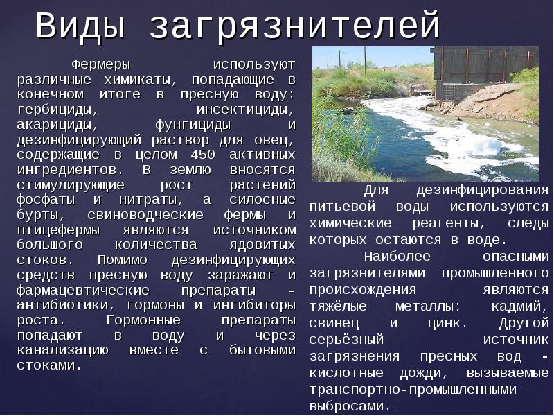 Сообщество пресных вод 4 класс окружающий мир по плану