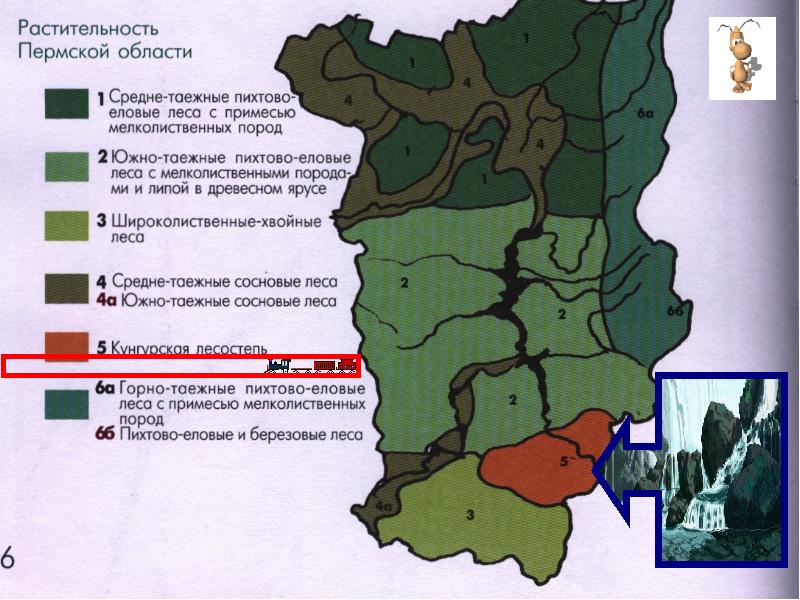 Карта почв красноярского края