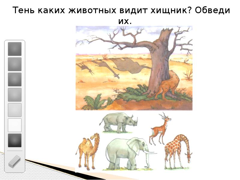 Узнай какие животные обитают в пустынях на рисунке обведи их контуры