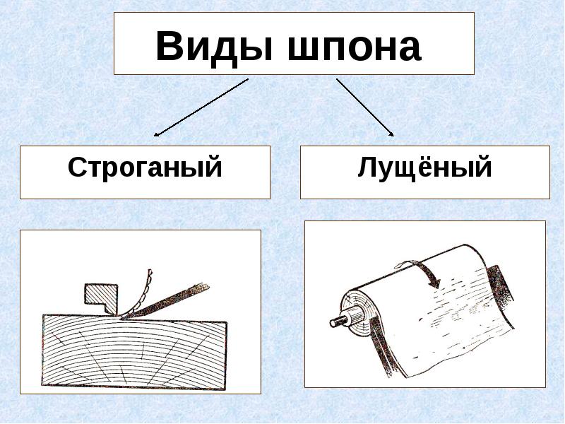 Виды шпона рисунок