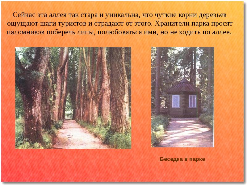 Пушкинские тропы. Аллеи это в биологии. Тропа к Пушкину. "Тропа  к Пушкину" рассказ. Легенды Пушкинских мест.