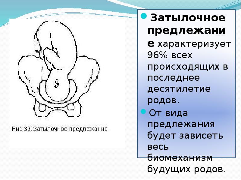 Биомеханизм родов при заднем виде затылочного предлежания презентация