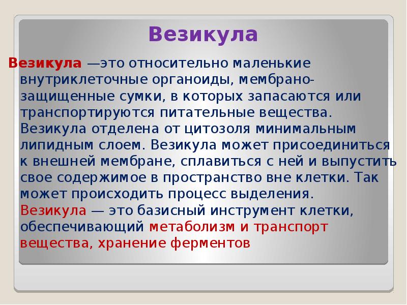 Везикула. Везикулы Дерматовенерология. Характеристика везикулы.