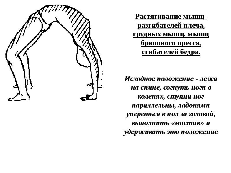 Презентация на тему растяжка