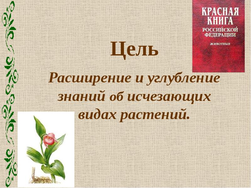 Проект красная книга растения. Презентация растения красной книги. Растения занесенные в красную книгу презентация. Презентация на тему растения занесенные в красную книгу. Проект о растениях занесенных в красную.