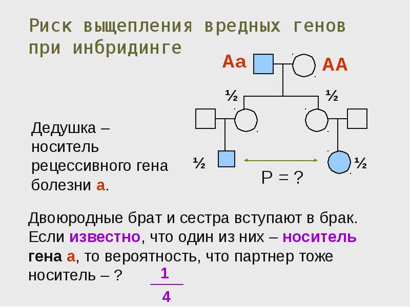 Троюродный брат и сестра отношения