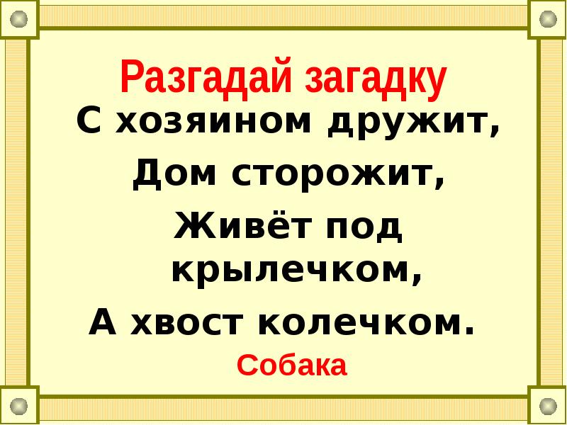 Разгадки тайны