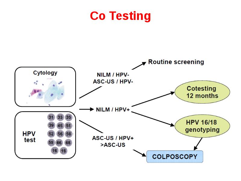 Testing co. Test company. Ручное тестирование qa. Исследовательское тестирование exploratory testing. Инструменты нагрузочного тестирования.