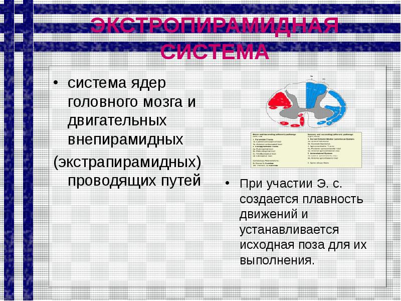 Обследование детей с нарушениями темпа речи презентация