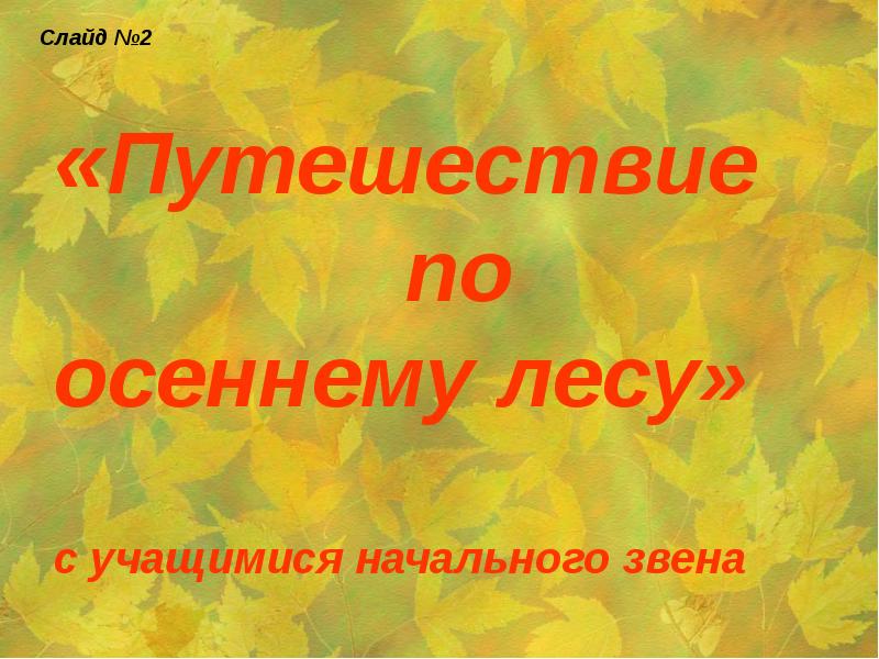 Осень начальная форма. Презентация на тему осенний лес. Осеннее путешествие по лесу. Путешествие в лес презентация. Надпись "экскурсия по осеннему лесу.