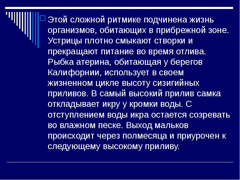 Биоритмы в природе презентация