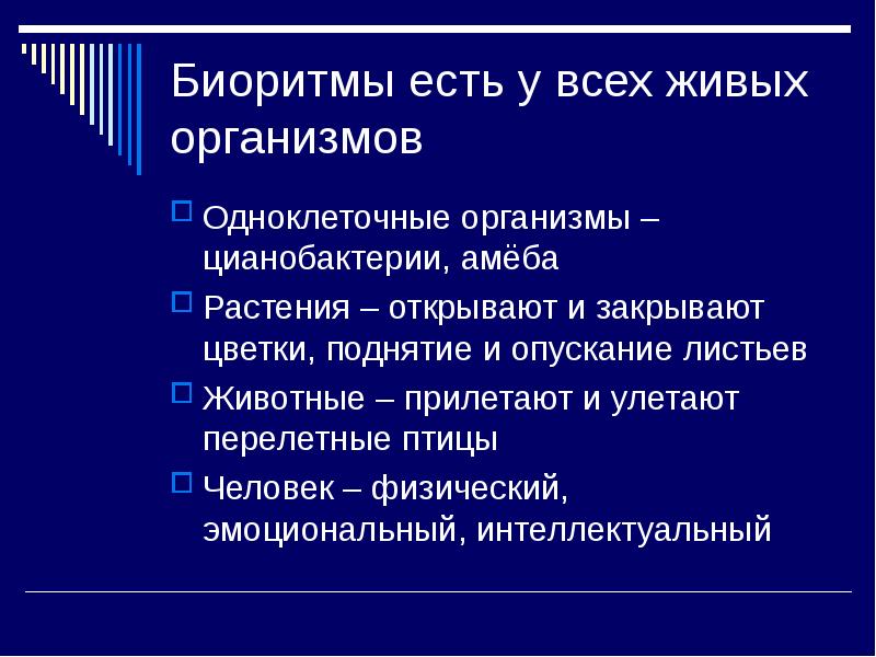 Проект биоритмы жизни презентация