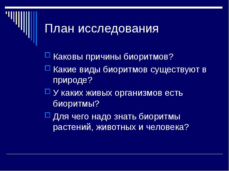 Биоритмы в природе презентация