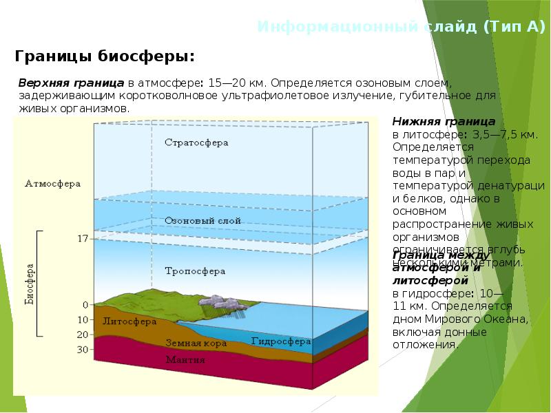 Высота гидросферы. Нижняя граница биосферы. Границы биосферы атмосфера гидросфера литосфера. Границы биосферы в литосфере. Верхняя граница биосферы.