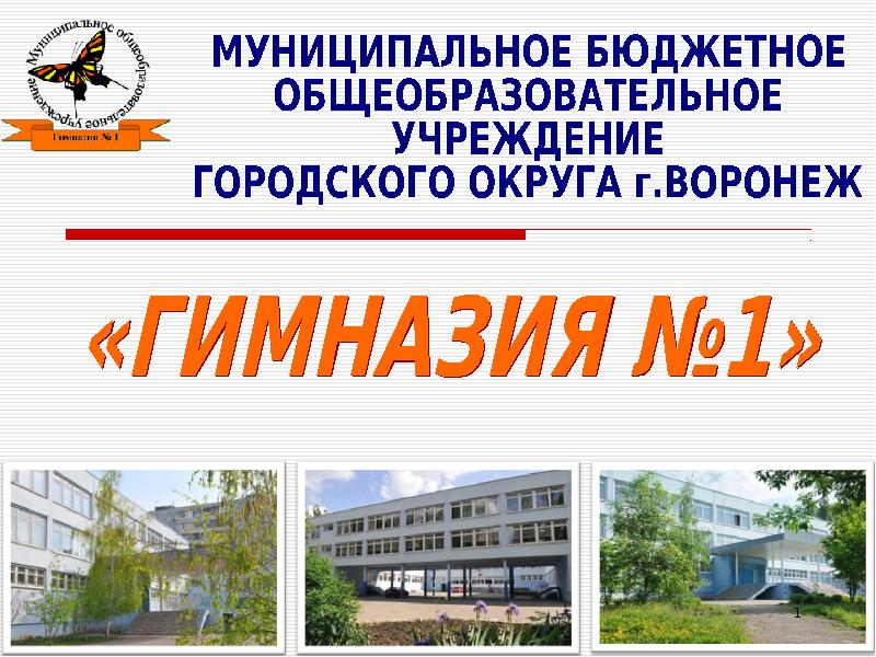 Муниципальное бюджетное учреждение городского округа