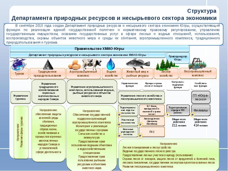 Государственная или муниципальная экспертиза проекта освоения лесов