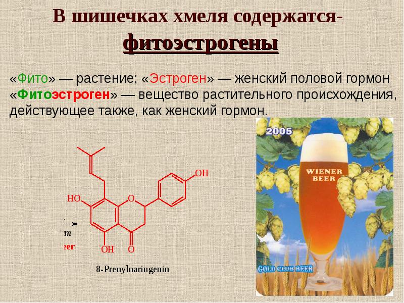 Где больше эстрогена