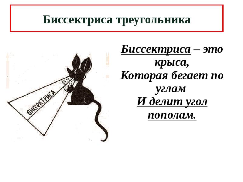 Что делит угол пополам. Биссектриса это крыса. Биссектриса крыса бегает. Биссектриса это крыса которая бегает по углам и делит угол пополам. Стишок про биссектрису.