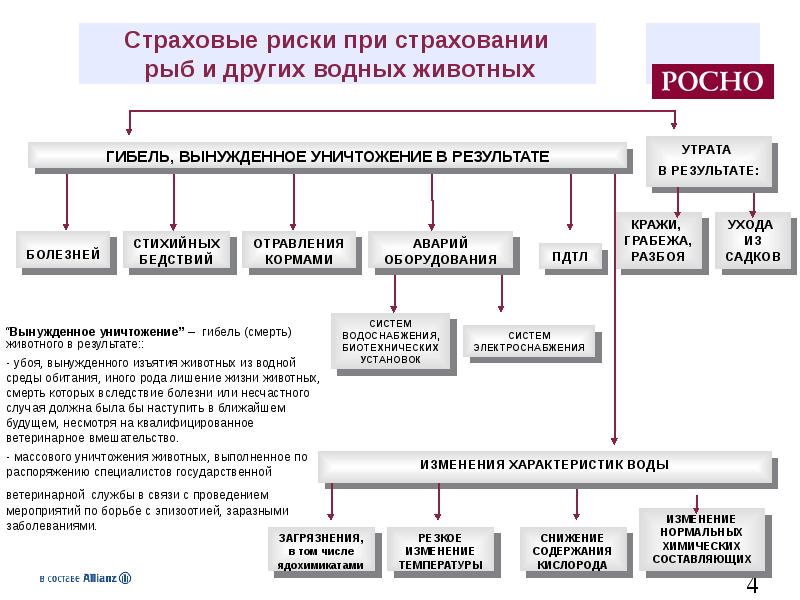 Иные род. Риски страхования животных. Страхование изъятия животных. Страховой риск по страхованию животных. Оценка рисков и страхования приюта для животных.