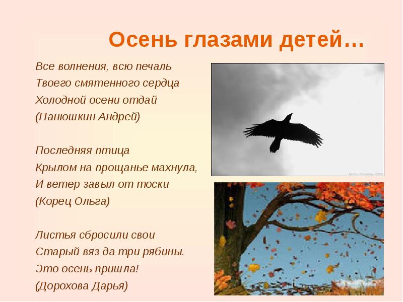 Все волнения всю печаль твоего смятенного сердца гибкой иве отдай рисунок